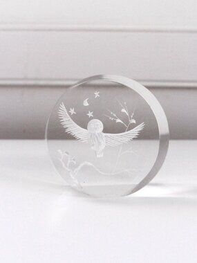 Vintage Reverse-Carved Acrylic Lucite Owl Paperweight Etched Moon Stars Branches